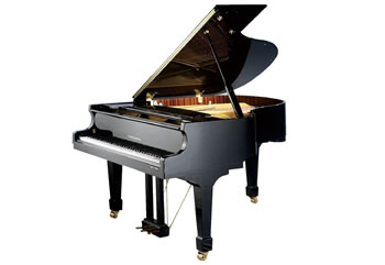 275大型音乐厅用琴