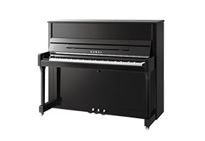 KU-J19