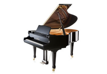 SK-2